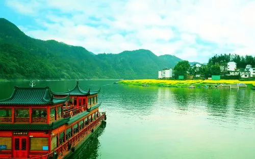 绿色全自动高性能